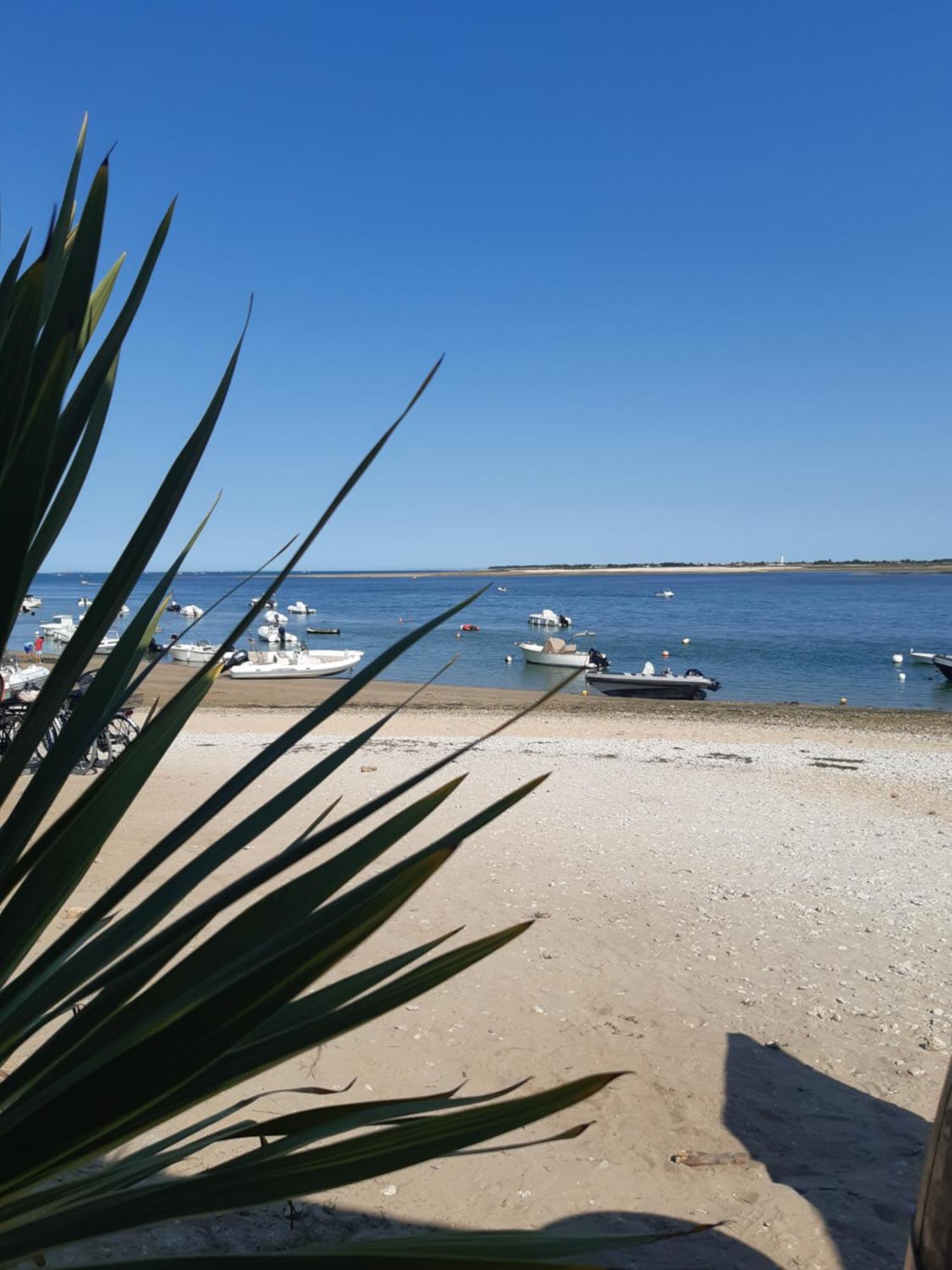Maison De Vacances Entiere A 10 Mn De La Rochelle Dompierre-sur-Mer 외부 사진
