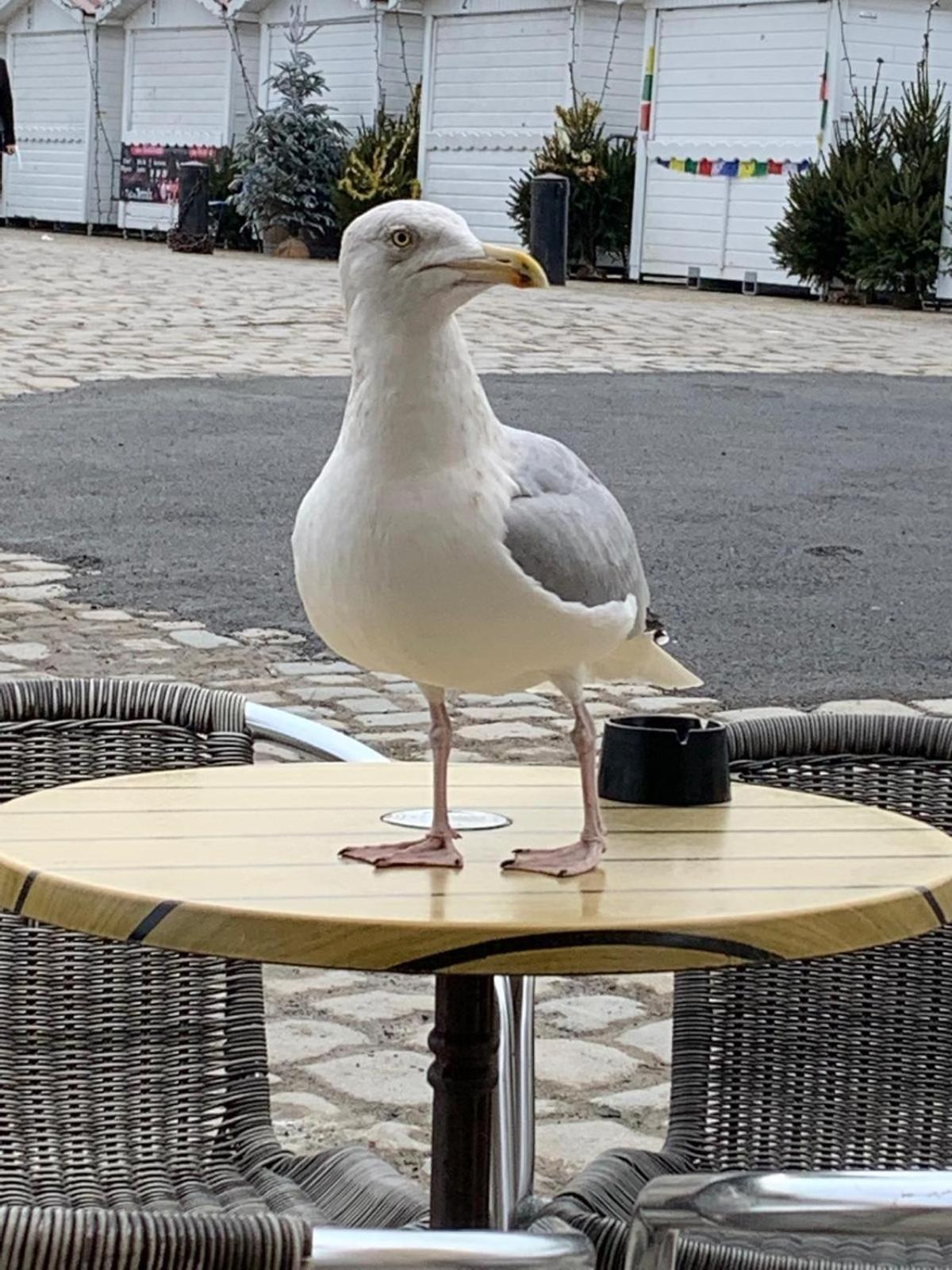 Maison De Vacances Entiere A 10 Mn De La Rochelle Dompierre-sur-Mer 외부 사진